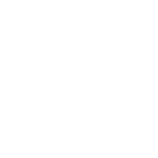 Steenhagen Auto's